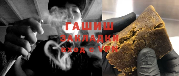шишки Бородино