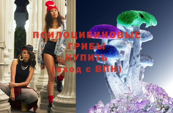 шишки Бородино