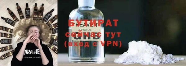 шишки Бородино