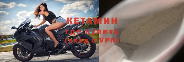 шишки Бородино