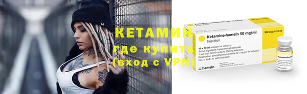 шишки Бородино