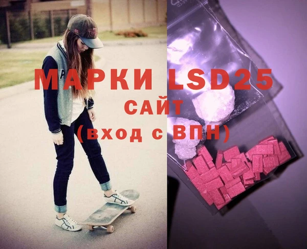 шишки Бородино
