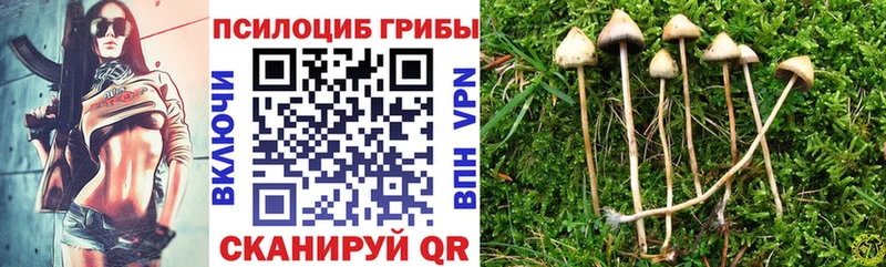 Галлюциногенные грибы прущие грибы  гидра зеркало  Кораблино 